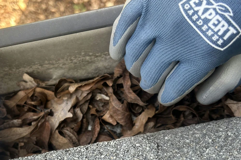 Gutter Cleaning Calera