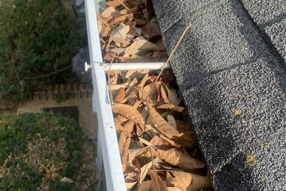 Gutter Cleaning Calera